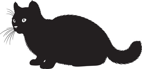 American Ringtail cat full image in silhouette image white backgrpound.