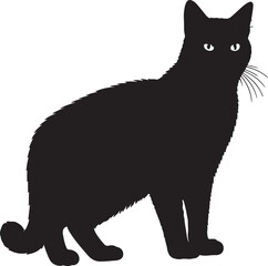 American Wirehair cat full image in silhouette image white backgrpound.