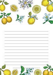 Fresh lemon vector illustrations. Citrus yellow juice natural foods healthy natural products vector pictures. Fruit food citrus healthy, fresh juice lemon illustration.