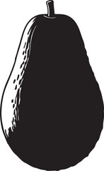 Avocado Fruit in silhouette image white backgrpound.