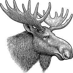 Moose Head vector silhouette design for T-Shirt