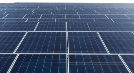 Vast array of dark blue solar panels covering a wide area capturing sunlight for renewable energy generation