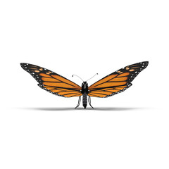 Fototapeta premium Monarch Butterfly in Flight Isolated on Transparent Background