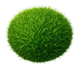 Lush, spherical cluster of vibrant green grass blades, densely packed and radiating outward, on transparent background.