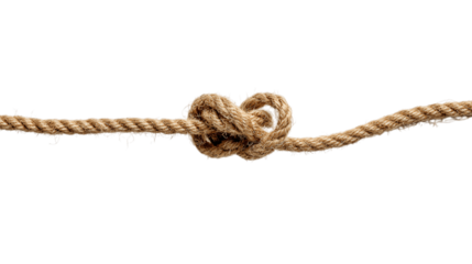 One bungee cord, white background --ar 16:9