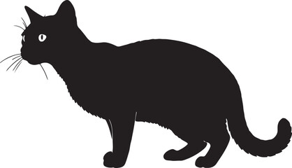  Bombay cat full image in silhouette image white backgrpound.