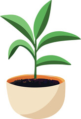 A vibrant green seedling with multiple leaves sprouts from rich dark soil within a light brown ceramic pot