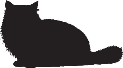British Longhair cat full image in silhouette image white backgrpound. © Sundas