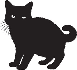 Burmilla cat full image in silhouette image white background.