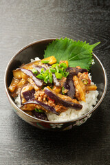 茄子の肉味噌丼