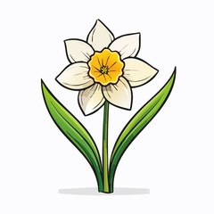 Delicate daffodil illustration featuring soft colors and clean lines on a white background