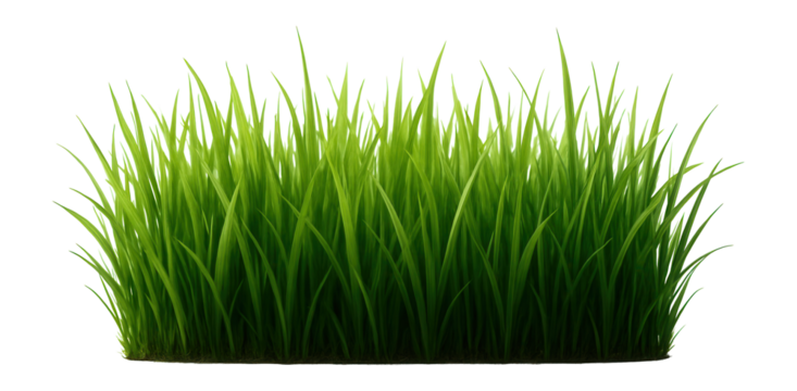 Dense, vibrant green grass blades arranged upright, creating a lush and healthy appearance on transparent background.