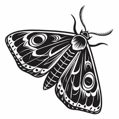 Black and white illustration of a moth isolated on white background
