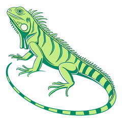 Green iguana lizard isolated on white background