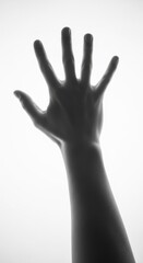 Obraz premium Silhouette of a human hand reaching up, fingers spread, black and white, high contrast, isolated PNG with Transparent Background