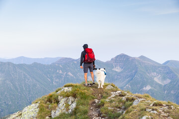 Fototapeta premium trekking with a dog in hogh mountains