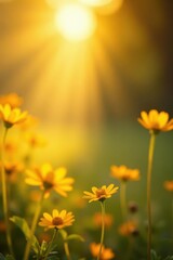 Obraz premium Luxurious blurred gold and pale yellow blend; ethereal sun-dappled effect , vibrant, subtle, sunlight