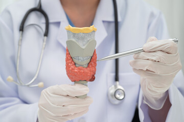 Hyperthyroidism, Overactive Thyroid, Thyroid Lymphoma, Asian doctor with thyroid gland human...