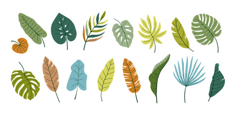 Collection summer tropical leaves in flat vector style. Isolated abstract colourful elements on white background. Palm tree, monstera, banana and other. Trendy templates for your design