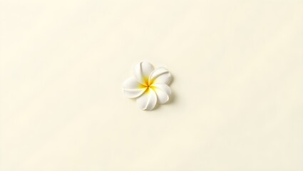 white frangipani flowerwhite frangipani flower on wooden background