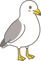 Standing Seagull Character Illustration / 서 있는 갈매기 일러스트