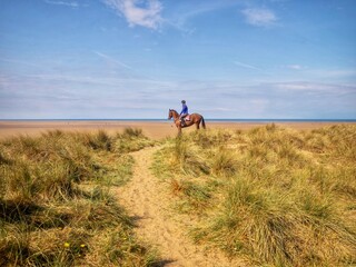 Horse with rider in sand dunes