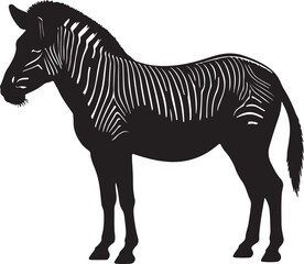 Obraz premium Grant’s Zebra silhouette image white backgrpound.