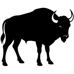 Powerful Bison Silhouette Majestic American Buffalo in Striking Black Silhouette Style