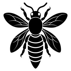 Detailed Honey Bee Illustration in Black and White Silhouette Style