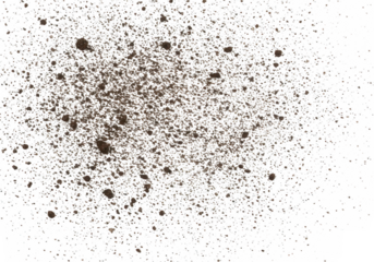 A scattered collection of dirt and soil particles on a clean transparent background, creating an abstract texture