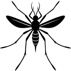 Detailed Mosquito Illustration in Black and White Silhouette Style