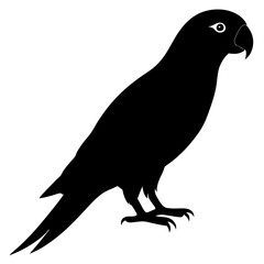 Elegant Parrot Silhouette A Striking Bird Illustration in Black and White silhouette