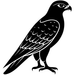 Majestic Falcon Standing Tall A Striking Black and White Silhouette