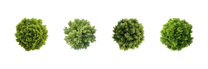 Top View Of Lush Green Trees Set. Nature And Landscaping Design Collection Isolated On Transparent Background