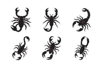 silhouette desert scorpion with curved tail set on the white background