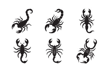 silhouette desert scorpion with curved tail set on the white background