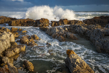 Rough seas crash against rocky shores along the Whale Coast, Hermanus, in the scenic Overberg region of Western Cape, South Africa, under dramatic cloudy skies and vibrant coastal vegetation.