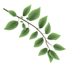 Naklejka premium a branch with leaves