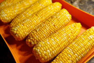 Boiled yellow sweet corn cobs with salt lying on orange tray