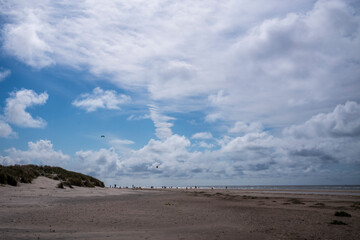 north sea beach in summer