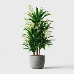 Green plant with cream flowers in pot