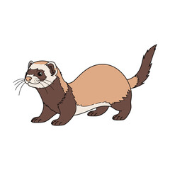 A charming illustration of a domestic ferret, standing alert, showcasing its tan and brown fur.