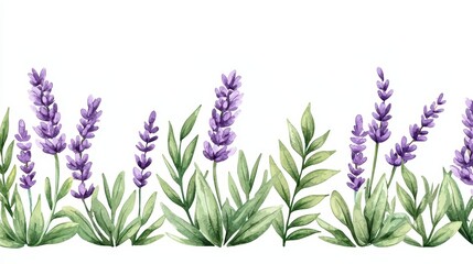 Naklejka premium Beautiful Lavender Flowers with Green Leaves in Watercolor Style