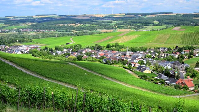 Luxembourg Moselle Valley Wine Region during summer