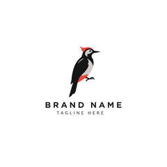 Obraz premium Stylish Woodpecker Logo Design for Branding and Creative Business Ventures Represents Nature and Wildlife Conservation Effort