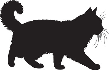 Turkish Angora cat walking full image in silhouette image white background.