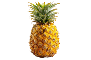 Close-up of a ripe pineapple.  Bright yellow skin,  studded with small,  distinct bumps.  Green fronds at the top.  Isolated on black background