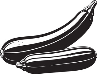 Zucchini in silhouette image white backgrpound.