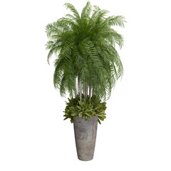 Full view of a lush, potted palm tree with a variety of foliage