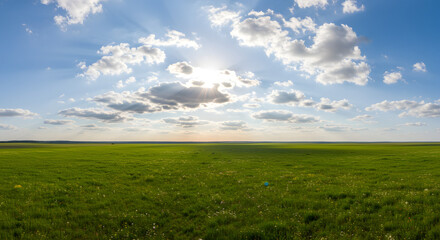 Fototapeta premium Green Meadow under Blue Sky